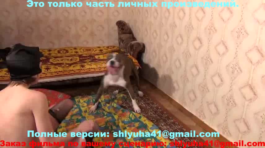 Dog Cumshot » Dog cum inside compilation