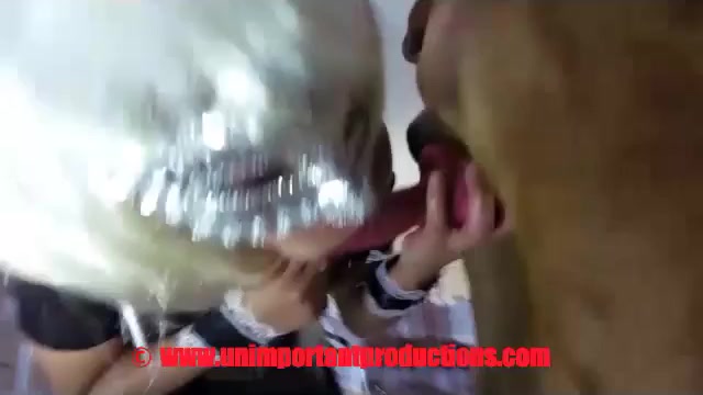 Dog Cumshot » Ebony dog cum compilation