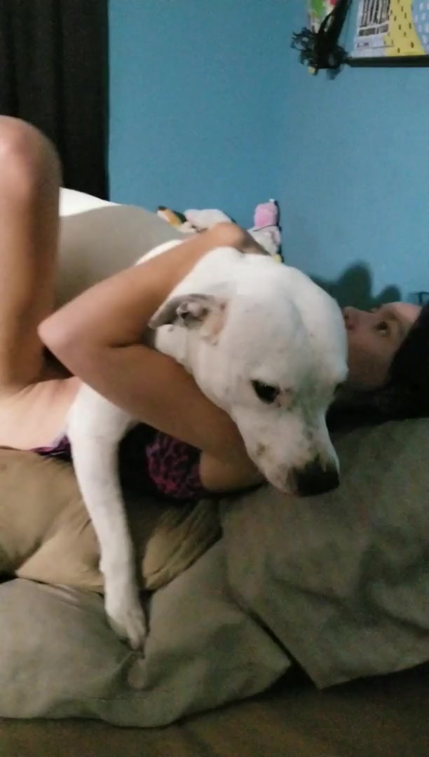Dog Cumshot » Animal cums in missionary