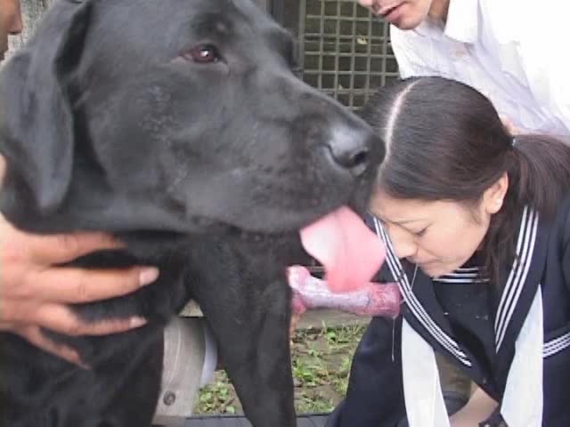 Dog Cumshot » Dog cumpilation with asian girls
