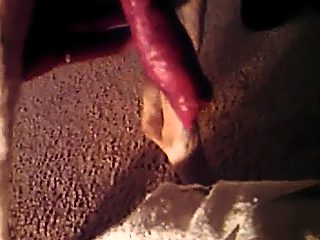 Dogs cumshot after mans jerk